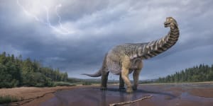 Discovery of Australia’s largest dinosaur to challenge America’s dino dominance