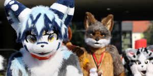 The number of “furries” attending Australia’s annual convention has soared over the past decade.