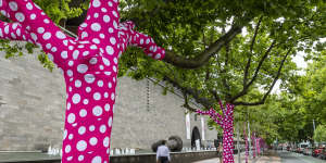 Sixty-five plane trees lining St Kilda Road in the heart of Melbourne have been wrapped in Yayoi Kusama’s trademark polka dots. 