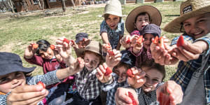 The Canberra school where lunchboxes are bursting with strawberries