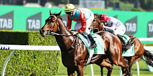 Tabcorp’s rejuvenation of its physical betting presence was evident at Sydney’s Everest race last weekend.