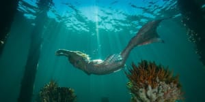 Busselton Jetty,Western Australia:The remote Australian town where mermaids live