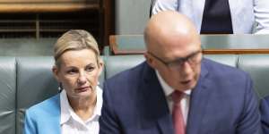 Deputy Opposition Leader Sussan Ley is viewed as a potential successor to Peter Dutton among some Liberal Party figures.