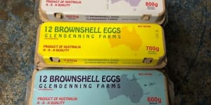 Salmonella outbreak prompts egg recall amid NSW Health investigation