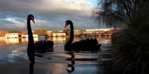 ‘It’s just a matter of when’:Australia war-gaming deadly bird flu outbreak