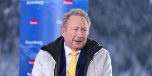 Fortescue Metals chairman Andrew Forrest.