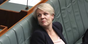 Leadership material:concerns about Tanya Plibersek’s appeal in parts of western Sydney or with blue-collar workers are receding.