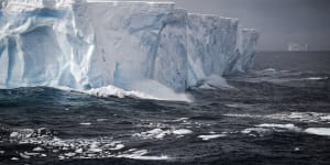 ‘Superpower’ bacteria discovered in Antarctica