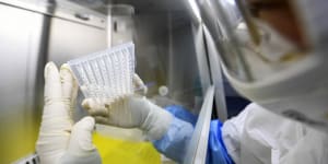 An employee studying coronavirus in a laboratory in Wuhan in February,2020,during the first outbreak. 