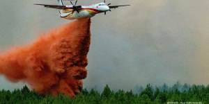 Dash aircraft fighting a wildfire near Landiras in south-western France,2022. 