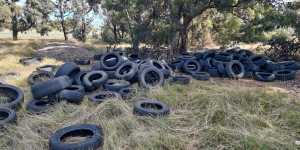 A recently discovered tyre dump in Lawrie Emmins Reserve,Laverton North.