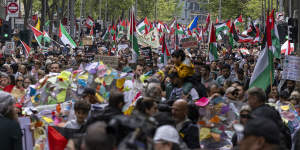 ‘Free publicity’:Pro-Palestine rally organisers say political attention helped turn-out