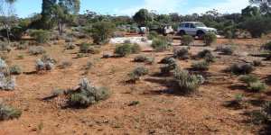 Ground sampling at Lincoln Minerals’ uranium assets on South Australia’s Eyre Peninsula.