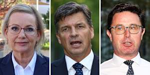 Sussan Ley and Angus Taylor will tussle for the Liberal leadership on Tuesday after David Littleproud retained the leadership of the Nationals on Monday.