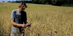 Andy,half of Groove Armada,is out standing in his field. Literally