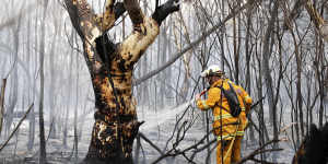 Firefighters responding to a fire off Field of Mars Avenue in South Turramurra. 