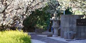 Blossoms illuminate the Japanese War Cemetery in Cowra.