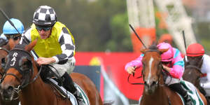 Prowess proved a class above in Saturday’s Vinery Stud Stakes.
