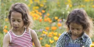 Twins Gabriel and Camille,6yrs with mum Nathalie Segeral of Forest Lodge,enjoying the Wildflower Meadow at the start of Spring in Sydney on September 11,2021. Photo:Â Anna Kucera