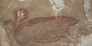 Some pig:oldest rock art found to date points to more discoveries