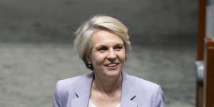 Tanya Plibersek said her decision to impose heritage conditions on the McPhillamys mine would not prevent it from proceeding.