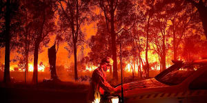The software underpinning Firestory was developed after the devastating 2019-2020 bushfire season.
