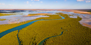 Mangrove creeks in the Exmouth Gulf.