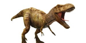 Fossils reveal doom for the dinosaurs came in springtime