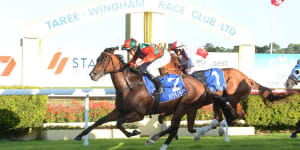 Race-by-race preview and tips for Tuesday meeting at Taree