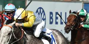 Rising star Briasa puts Everest in sights with gritty Hunter victory