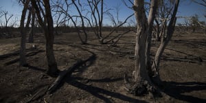 Four out of five Australians say corporate leaders are entitled to speak up on social and environmental issues such as drought