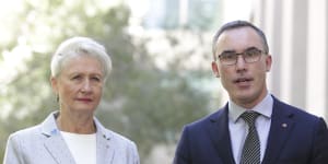 Crossbench MP Kerryn Phelps and independent senator Tim Storer worked closely on the amendments.