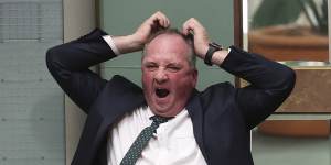 Barnaby Joyce’s latest antics do nothing to move Australia forward