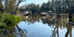 The Murray River creeps up in the Echuca port area.