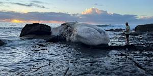The whale on the rocks at Era beach south of Sydney. 