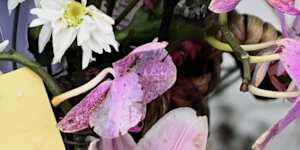 A memorial on the bank of the Erina Creek marks the spot where Audrey Griffin’s body was found.