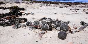 Black balls have also washed ashore at Gordons Bay.