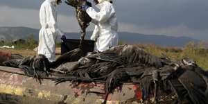 Workers put a dead crane in a bag at the Hula Lake conservation area,near of the Sea of Galilee,in northern Israel.