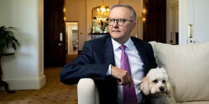 Anthony Albanese,with constant companion Toto the cavoodle,nominates resetting Australia’s position internationally as his proudest achievement this year.