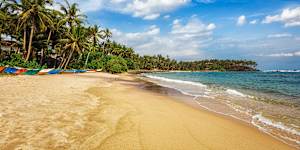 Mirissa Beach,a gorgeous sweep of sand without a single person on it.