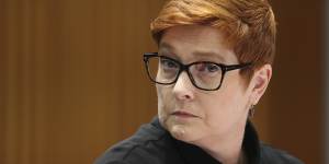 Marise Payne will co-chair a taskforce on women’s equality,which will include all women in cabinet,a role that Scott Morrison said will see her be the ‘prime minister for women’.