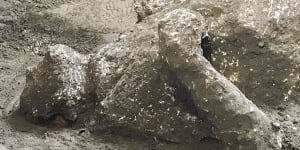 Bodies of man and his slave unearthed from ashes at Pompeii