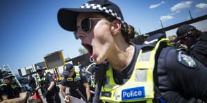 Police pepper spray,arrest Palestine protesters at Melbourne Cup