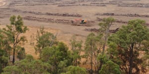 Alcoa has cleared 28,000 hectares of the northern jarrah forest that is pressured by a drier,warmer climate and more bushfires.