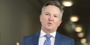 Climate Change and Energy Minister Chris Bowen says the coal and gas caps will be temporary.