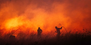 ‘Climate breakdown’:State of calamity in Portugal as fires rage out of control