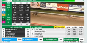 The dog led all the way and won at Maitland as a short-priced favourite.