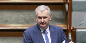 Tony Burke is the third Albanese government minister to speak out publicly about the way Palestinian Australians have felt since the Israel-Hamas war broke out.