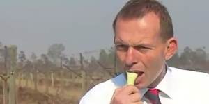 Tony Abbott bites in to a member of the onion family,possibly a spring onion,at a Queensland onion farm in 2011.