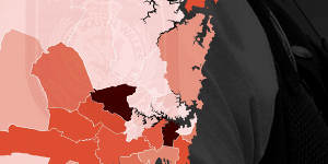 Revealed:LGAs where police strip-searches occur most often